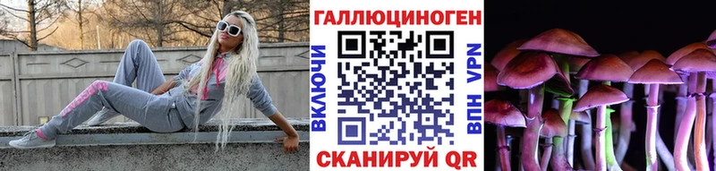 Галлюциногенные грибы GOLDEN TEACHER  Черняховск 